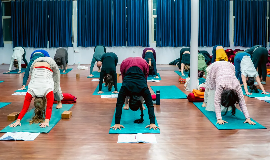 300 Hour Yoga TTC In Rishikesh