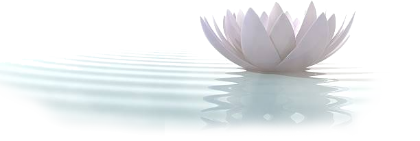 Guru Vishnu Panigrahi