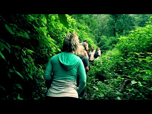 excursion